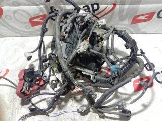 Проводка ДВС TOYOTA BELTA 2009 контрактная Проводка ДВС TOYOTA BELTA 2009