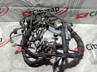 Запчасть проводка двс TOYOTA PRIUS 2005 NHW20 1NZ-FXE 89661-47090 контрактная Проводка ДВС TOYOTA PRIUS 2005 NHW20 1NZ-FXE 89661-47090 контрактная