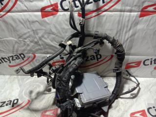 Проводка ДВС PRIUS 2005 NHW20 1NZ-FXE Проводка ДВС PRIUS 2005 NHW20 1NZ-FXE