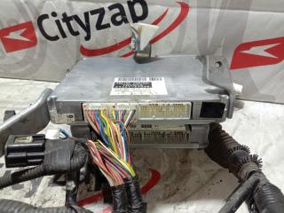 Проводка ДВС PRIUS 2005 NHW20 1NZ-FXE Проводка ДВС PRIUS 2005 NHW20 1NZ-FXE