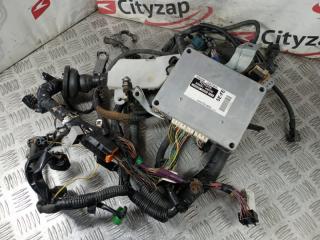 Проводка ДВС TOYOTA RAUM контрактная Проводка ДВС TOYOTA RAUM