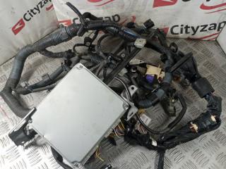 Проводка ДВС TOYOTA WISH контрактная Проводка ДВС TOYOTA WISH