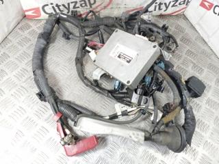 Проводка ДВС TOYOTA RAUM контрактная Проводка ДВС TOYOTA RAUM