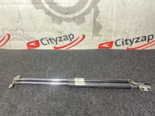 Амортизатор багажника SUBARU FORESTER 2009