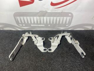 Запчасть петля капота передняя BMW 3-SERIES 2006