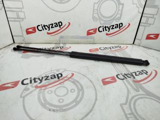 Запчасть амортизатор багажника RENAULT Kangoo 2002