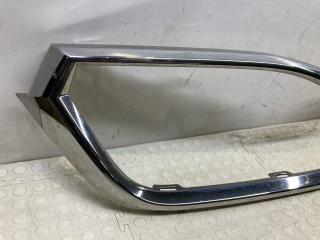 Молдинг решетки радиатора Rapid 2019-