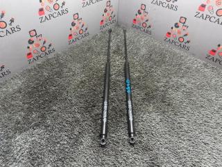 Запчасть газовые упоры багажника Renault Koleos