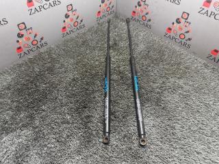 Запчасть газовые упоры багажника Renault Koleos