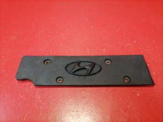 Декоративная крышка ДВС Hyundai Elantra 2009 Б/У Декоративная крышка ДВС Hyundai Elantra 2009