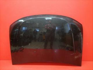 Капот Renault Duster 2012