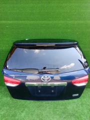 Дверь багажника задняя Toyota Wish 2009