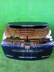 Дверь багажника задняя Toyota Corolla Fielder 2007