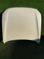 Капот передний Nissan Stagea 2004 контрактная Капот передний Nissan Stagea 2004