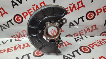 Кулак поворотный передний правый VOLKSWAGEN TIGUAN 13.01.2009