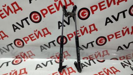 Запчасть амортизатор двери багажника Toyota Ipsum 2006.03