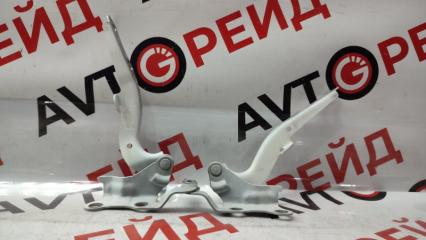 Крепление капота Toyota Ipsum 2006.03
