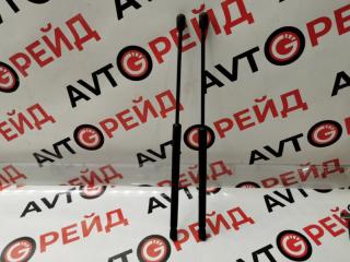 Амортизатор капота AUDI Q7 15.08.2008