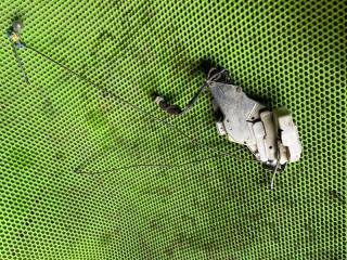 Запчасть замок двери задний правый Suzuki Liana