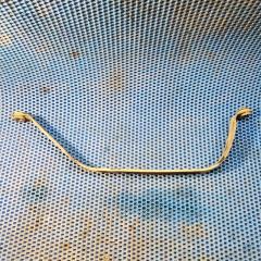 Запчасть крепление топливного бака левое Chery Tiggo 7 Pro 2021