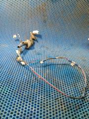 Запчасть проводка двери задняя левая TOYOTA Corolla 2012