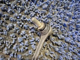 Корректор фары передний NISSAN ELGRAND NE51 VQ35DE 3 ракурс