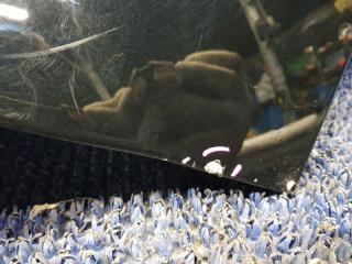 Крыло переднее правое NAVIGATOR U228