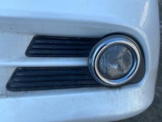 Ноускат NISSAN FUGA PY50 VQ35DE 4770 5 ракурс
