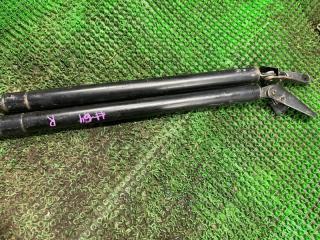 Амортизатор багажника задний NISSAN ELGRAND 2001.10 контрактная Амортизатор багажника задний NISSAN ELGRAND 2001.10