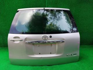 Дверь 5-я TOYOTA RAUM NCZ25 1NZFE 1 ракурс
