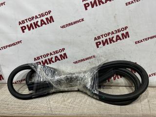 Уплотнитель проема двери задний левый FORD FOCUS 2 2008