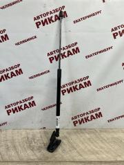 Амортизатор двери багажника FORD FOCUS 3 2012 контрактная Амортизатор двери багажника FORD FOCUS 3 2012