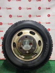 Шина зимняя 245/70R19.5 TOYO M919
