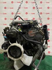 Запчасть двигатель NISSAN ELGRAND