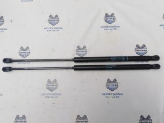 Амортизатор багажника Renault Sandero 2009