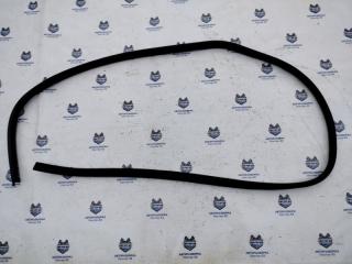 Уплотнитель двери задний левый Renault Sandero 2009