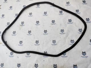Уплотнитель двери задний Volkswagen Tiguan 2015