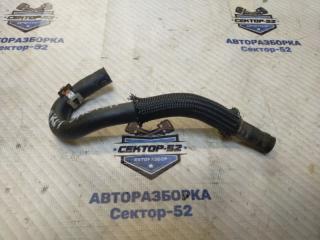 Запчасть патрубок системы охлаждения Toyota RAV4 2010 ZSA30 3ZR-FAE 1626437041 контрактная Патрубок системы охлаждения Toyota RAV4 2010 ZSA30 3ZR-FAE 1626437041 контрактная