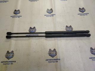 Амортизатор багажника Renault Sandero Stepway 2011