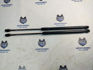 Амортизатор багажника Renault Sandero 2010