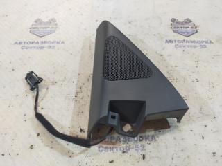 Накладка на зеркало внутренняя передняя левая Volkswagen Tiguan 2009