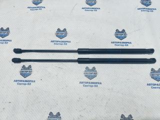 Амортизатор багажника Renault Sandero 2009