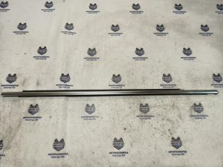 Уплотнитель стекла двери передний правый Volkswagen Tiguan 2016