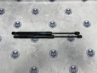 Амортизатор багажника Renault Duster 2011