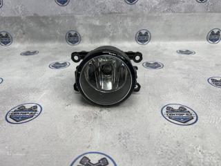 Запчасть фара противотуманная передняя Renault Sandero Stepway 2012