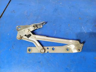 Петля крышки багажника правая Ford Focus 1 (98-05) 2001