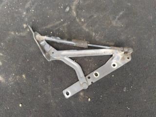Петля крышки багажника правая Ford Focus 1 (98-05)