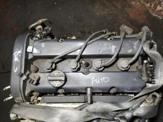 Клапанная крышка Ford Focus 1 (98-05)