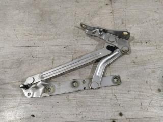 Петля крышки багажника левая Ford Focus 2 (04-08)