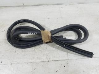 Уплотнитель двери правый Ford Tourneo/Connect (02-13) 2007